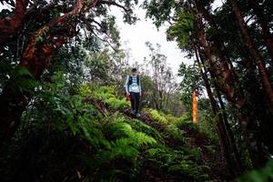 BIB: 
                            <button type="button" onclick="openModal(26203766)" class="btn btn-primary btn-sm float-right btn-popup" data-toggle="modal" data-target=".modal-high-quality">
                        <i class="fas fa-shopping-cart"></i> Add to Cart
                    </button>
                                            <button type="button" onclick="isThisMe(26203766, true)" class="btn btn-success btn-sm float-right btn-popup btn-isme hidden" data-toggle="tooltip" data-placement="bottom" title="นี่คือรูปของคุณใช่ไหม คลิกที่นี่เพื่อเอาเข้าอัลบั้ม">
                        <i class="fas fa-plus"></i> Add to album
                    </button>
                    <button type="button" onclick="isThisMe(26203766, false)" class="btn btn-warning btn-sm float-right btn-popup btn-isnotme hidden">
                        <i class="fas fa-ban"></i> Remove from album
                    </button>